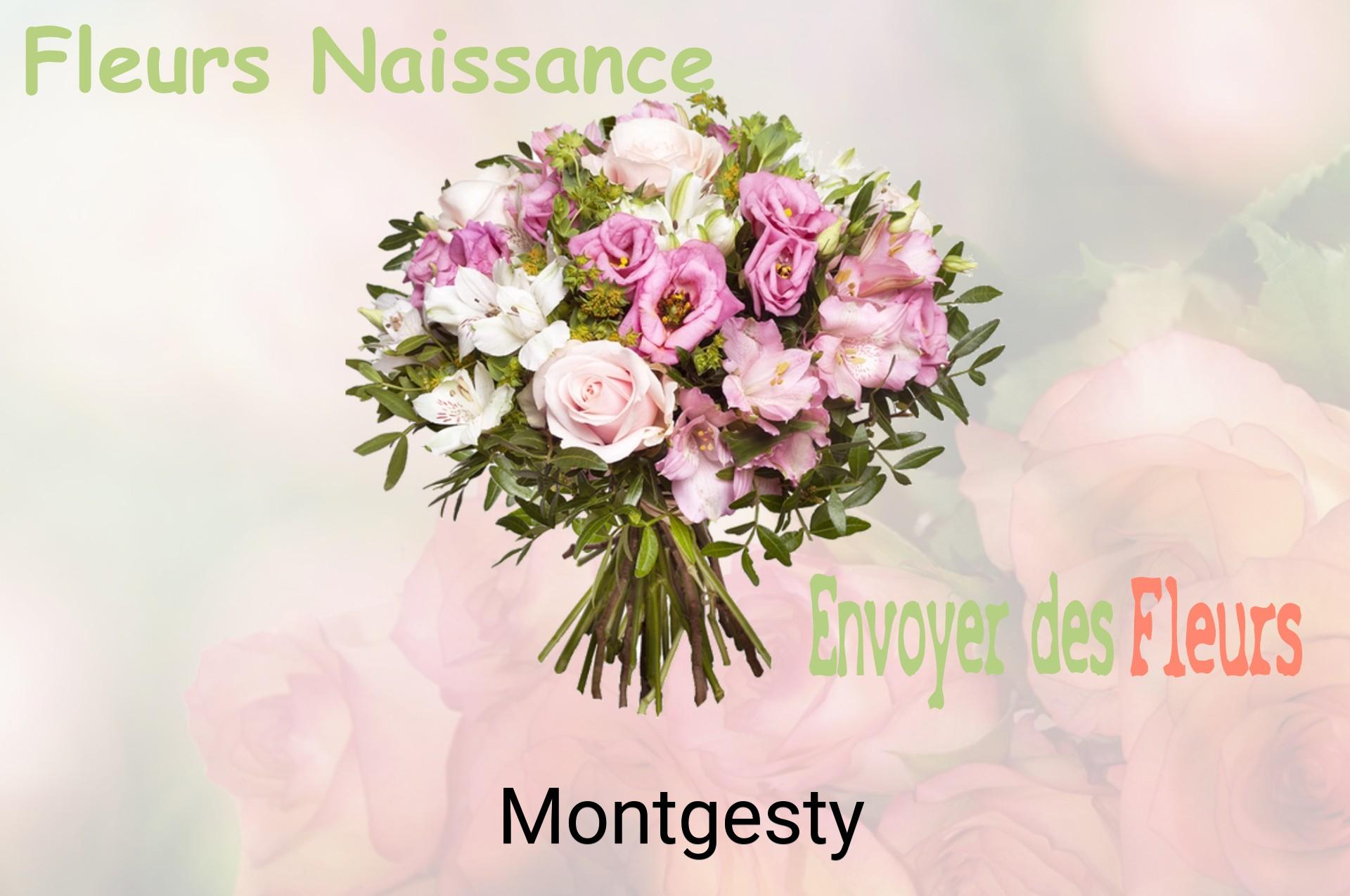 Bouquet de fleurs de naissance livré à Montgesty